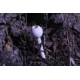 Scent Egg Scent Egg